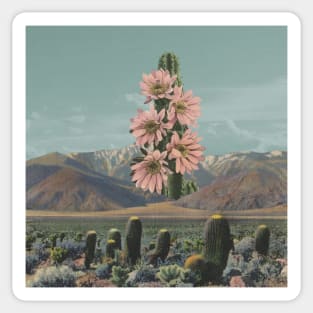 Cold Mountain Flower - Surreal/Collage Art Sticker